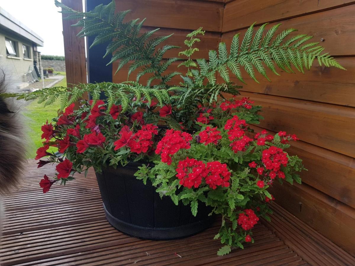 Glamorous Glamping Belmullet Bagian luar foto